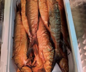 10c2e44c-5892-437f-9dd8-5e381d7da6de